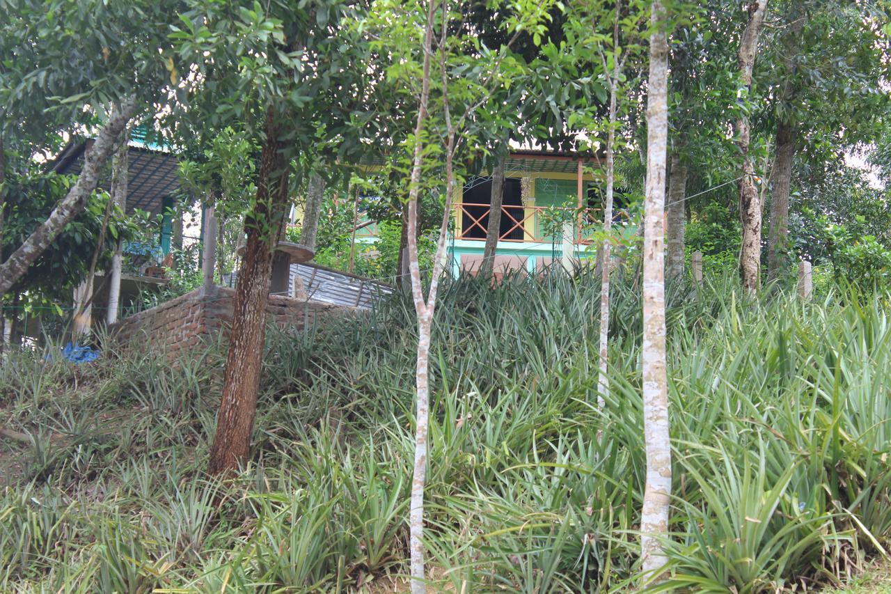 Green Palace Tea Resort Sreemangal Extérieur photo